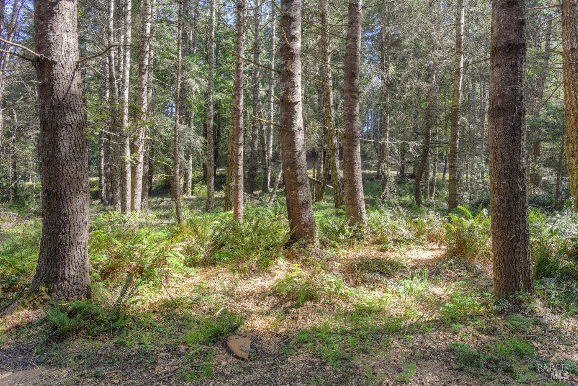 35205 Fly Cloud Road The Sea Ranch CA 95497
