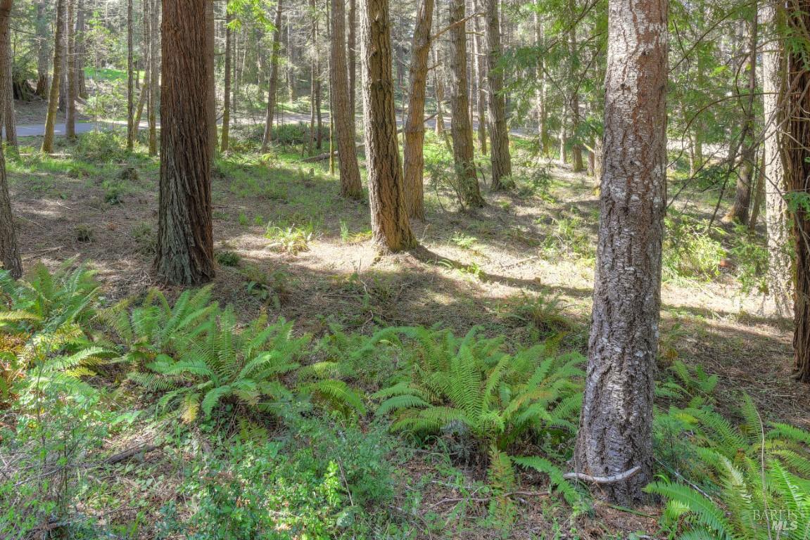 35205 Fly Cloud Road The Sea Ranch CA 95497