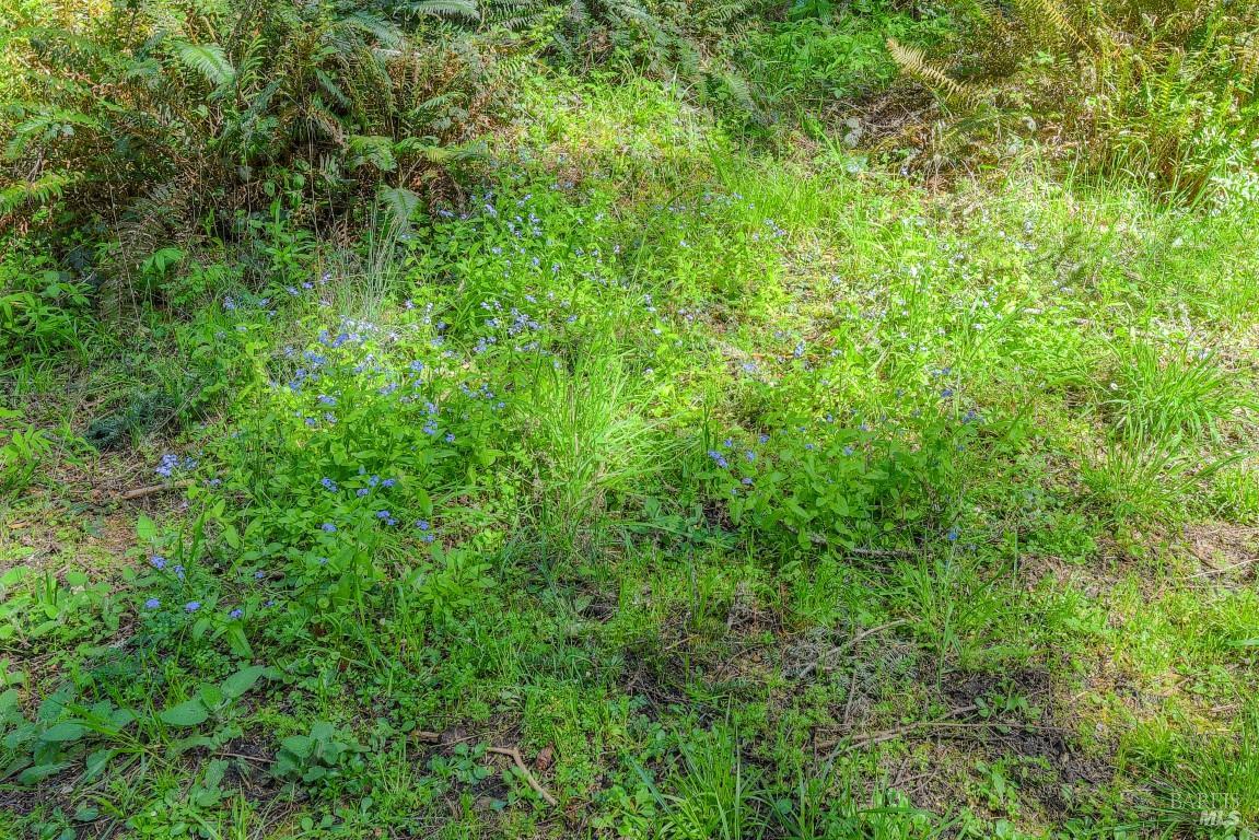 35205 Fly Cloud Road The Sea Ranch CA 95497