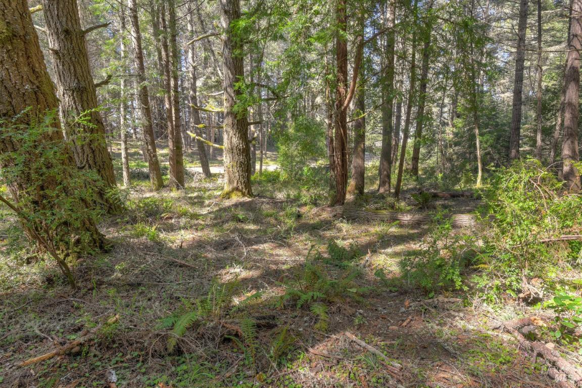 35205 Fly Cloud Road The Sea Ranch CA 95497