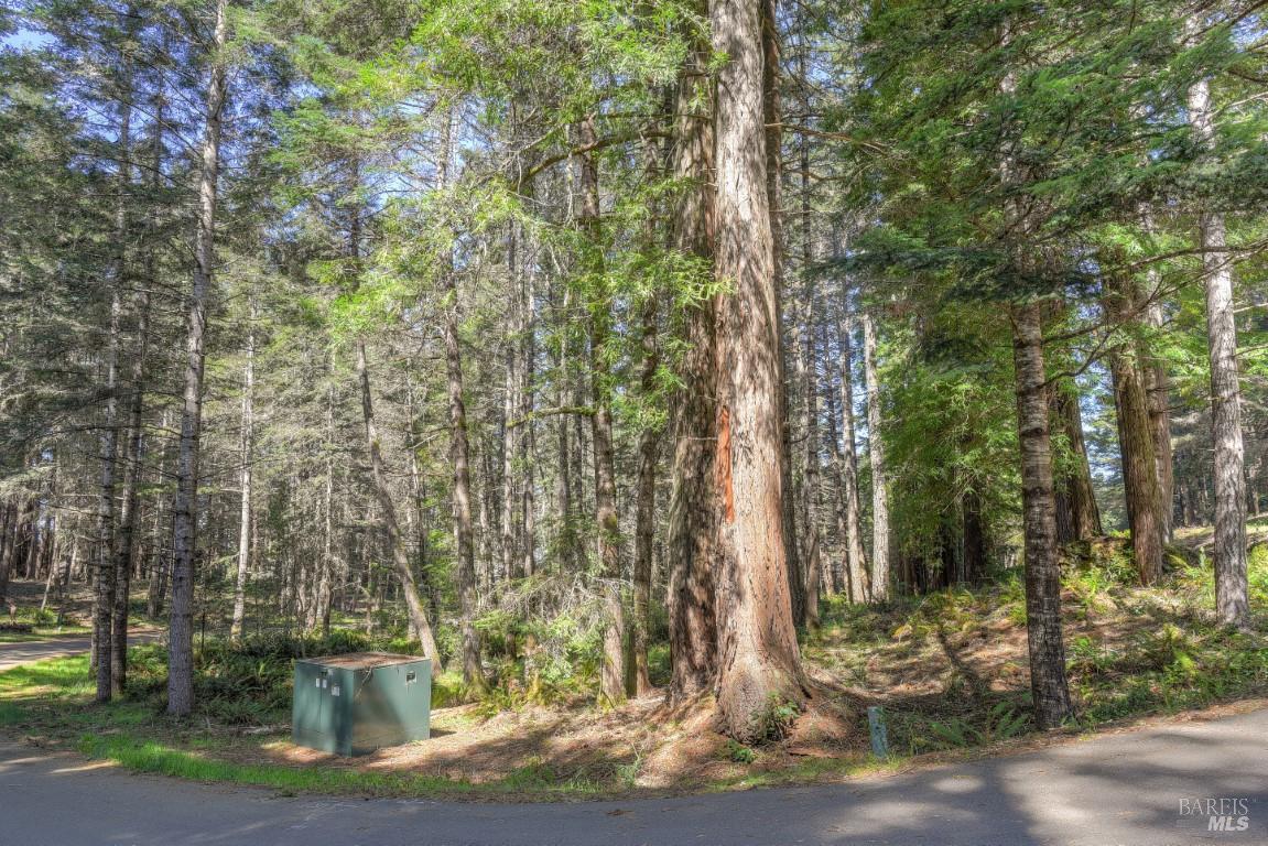35205 Fly Cloud Road The Sea Ranch CA 95497