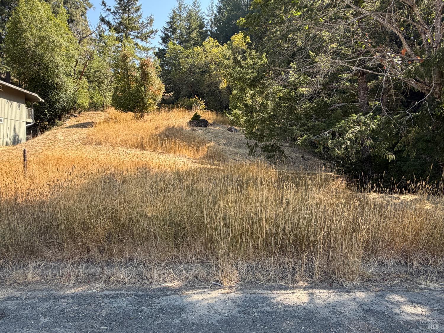 25521 Madrone Way Willits CA 95490