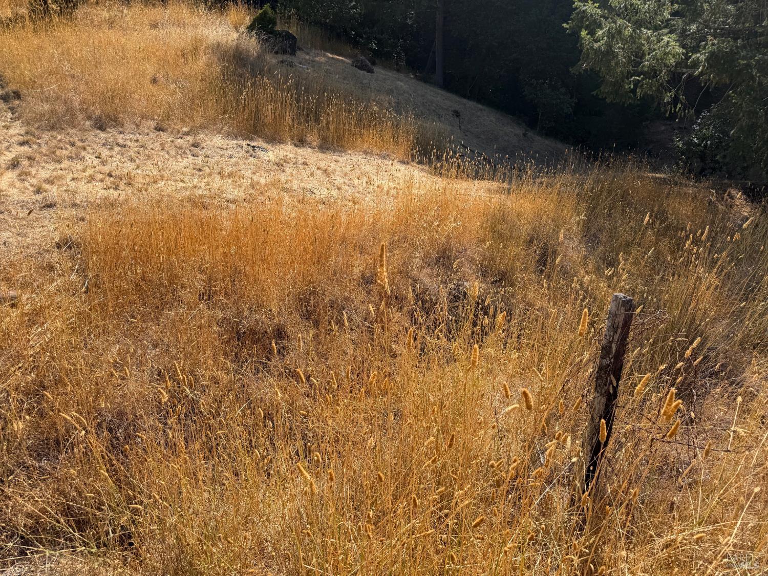 25521 Madrone Way Willits CA 95490