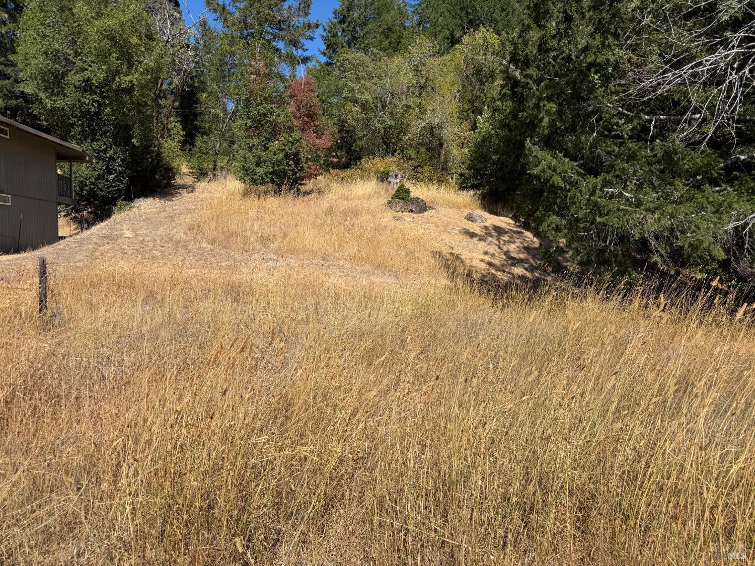 25521 Madrone Way Willits CA 95490