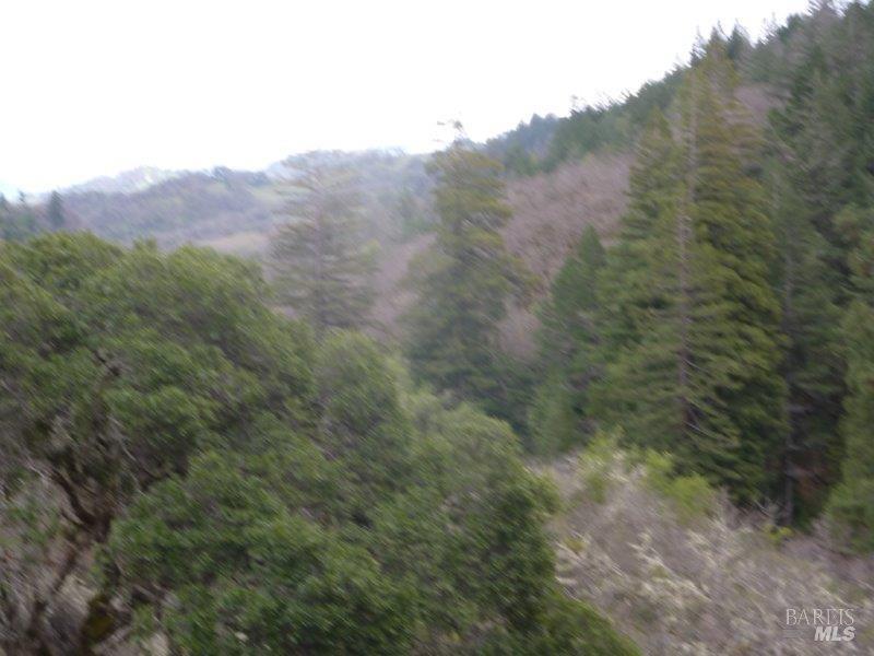 4225 Reeves Canyon Road Redwood Valley CA 95470