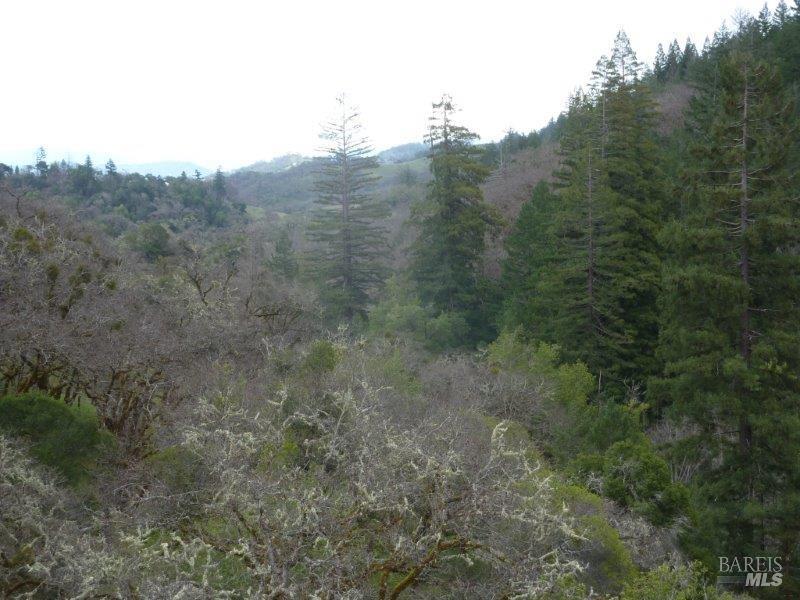 4225 Reeves Canyon Road Redwood Valley CA 95470
