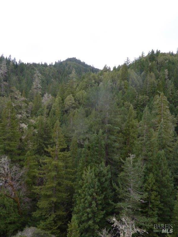 4225 Reeves Canyon Road Redwood Valley CA 95470