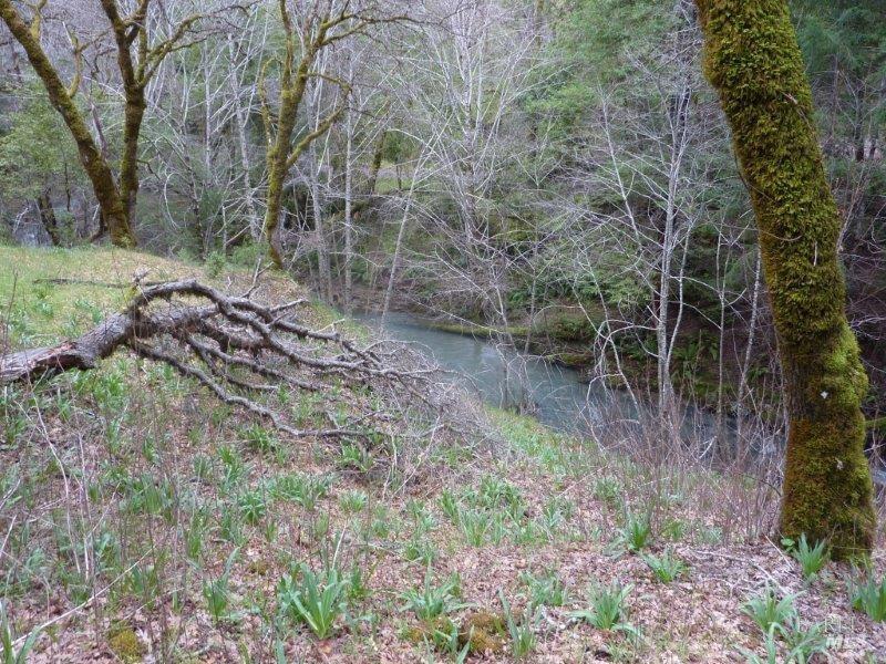 4225 Reeves Canyon Road Redwood Valley CA 95470