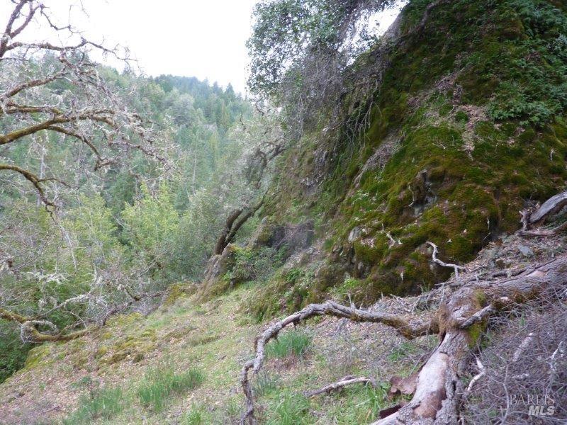 4225 Reeves Canyon Road Redwood Valley CA 95470