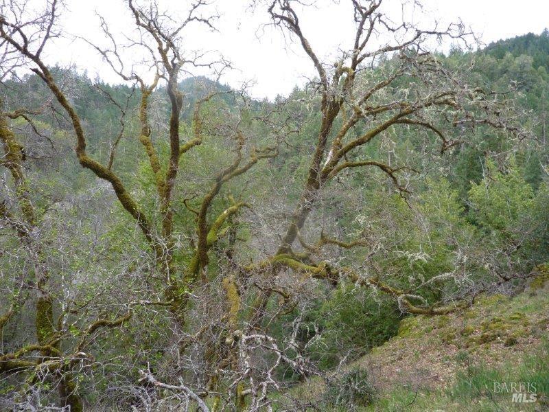 4225 Reeves Canyon Road Redwood Valley CA 95470