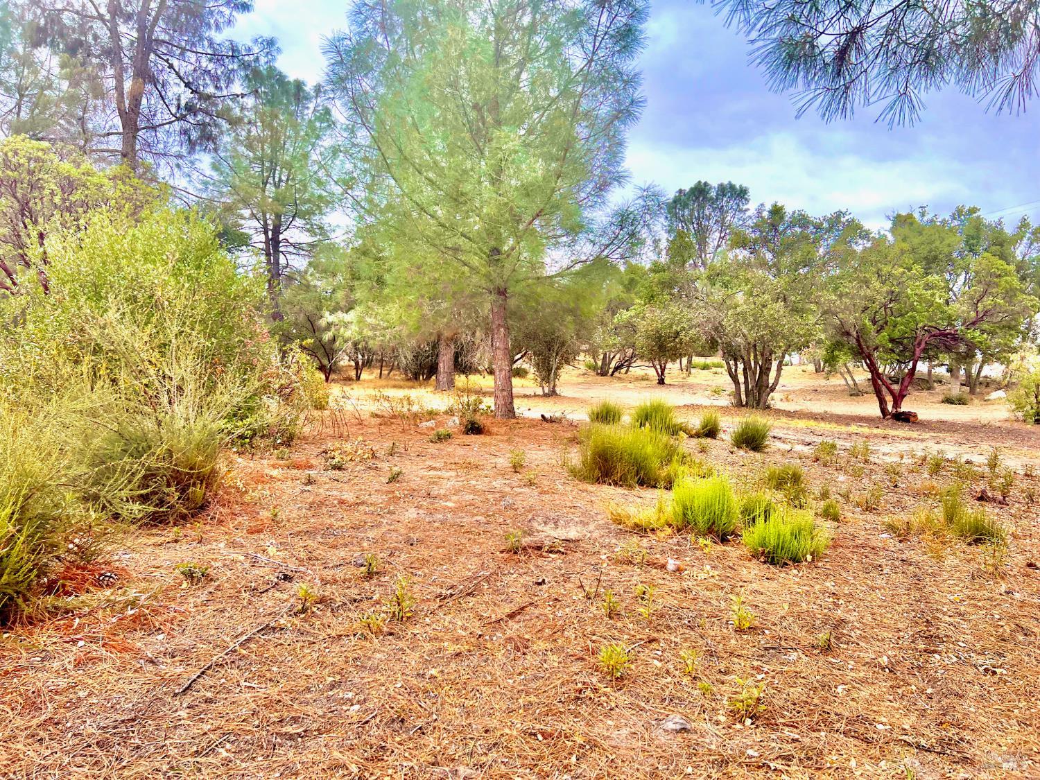 3471 Park Street Clearlake CA 95422