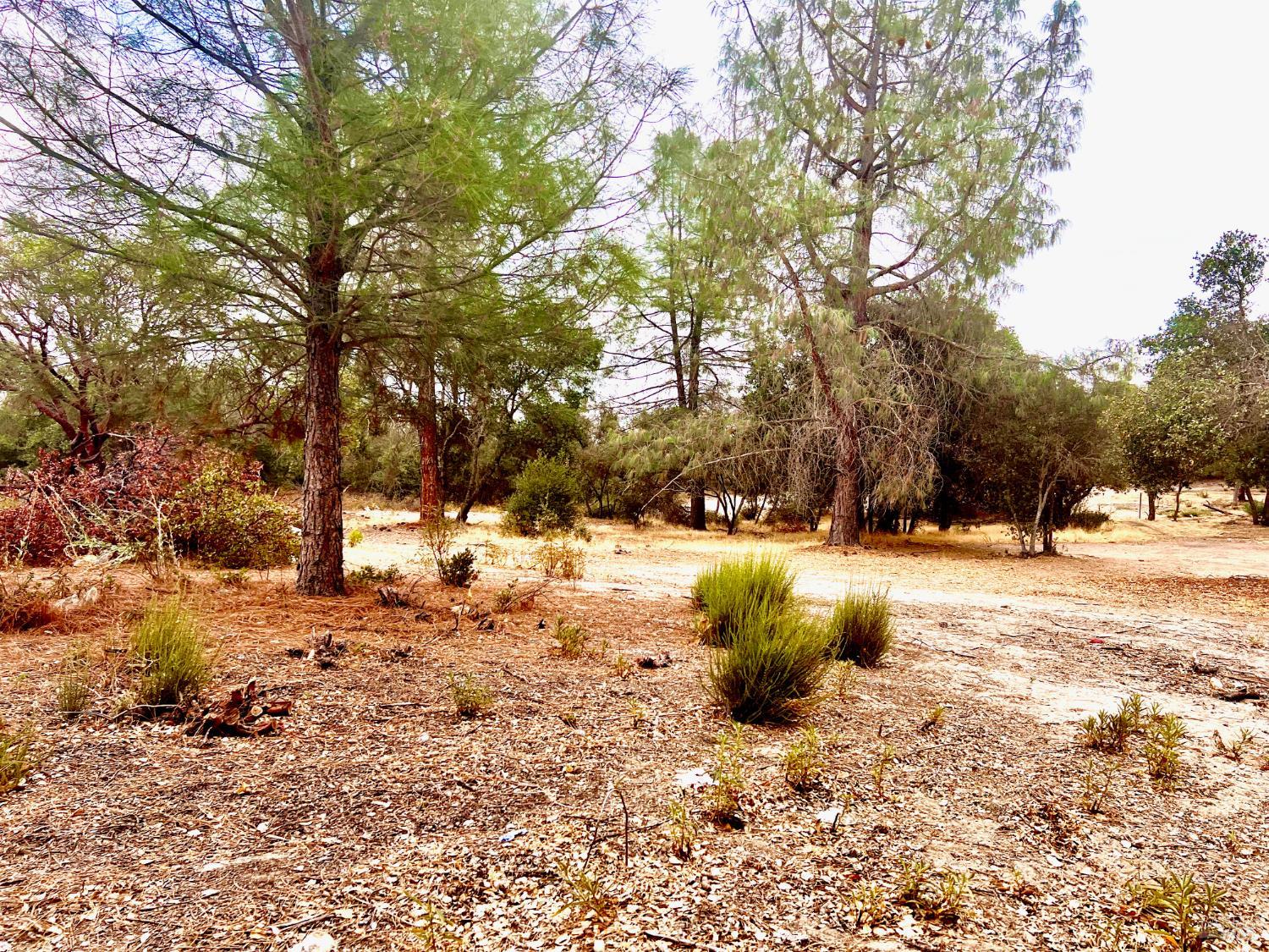3471 Park Street Clearlake CA 95422