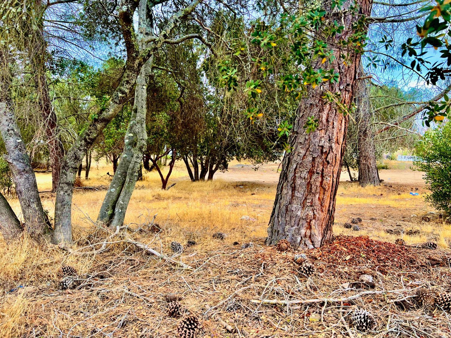 3471 Park Street Clearlake CA 95422