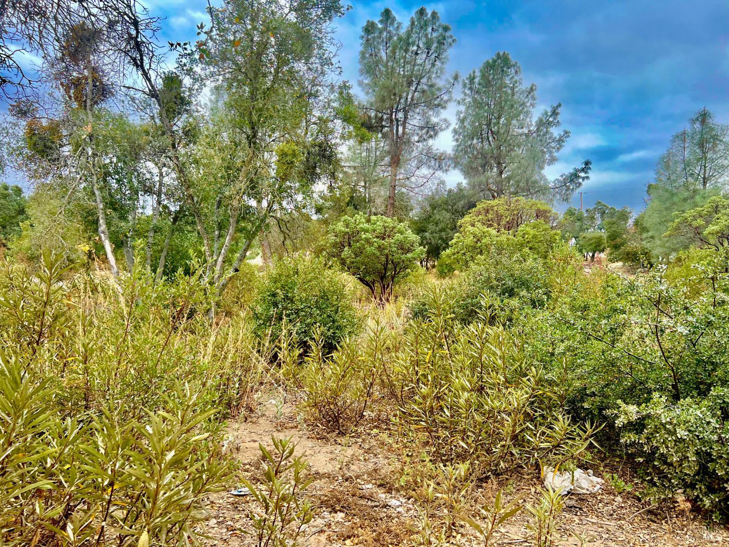 3471 Park Street Clearlake CA 95422