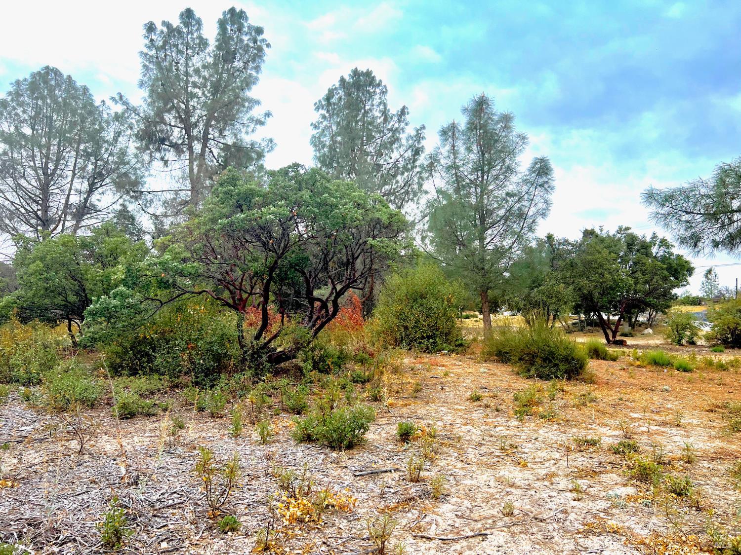 3471 Park Street Clearlake CA 95422