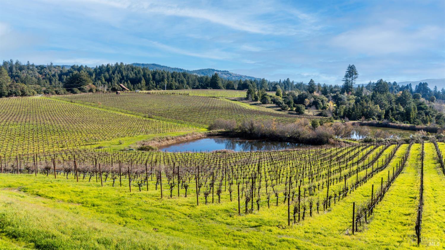 2300 Guntley Road Philo CA 95466