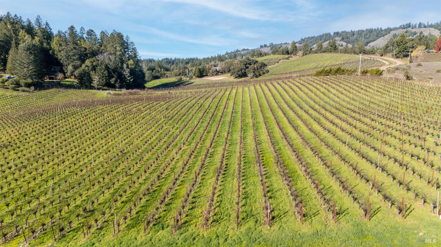 2300 Guntley Road Philo CA 95466