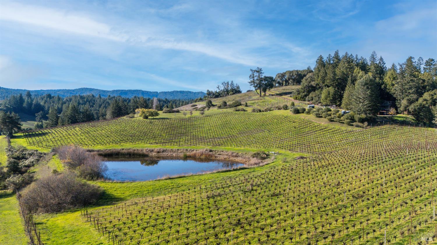 2300 Guntley Road Philo CA 95466