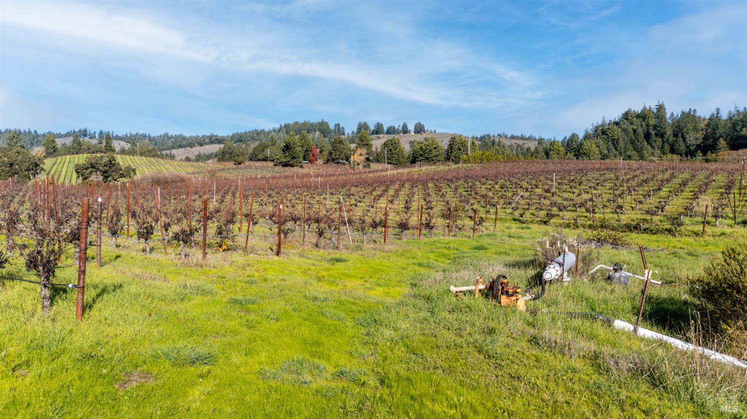 2300 Guntley Road Philo CA 95466