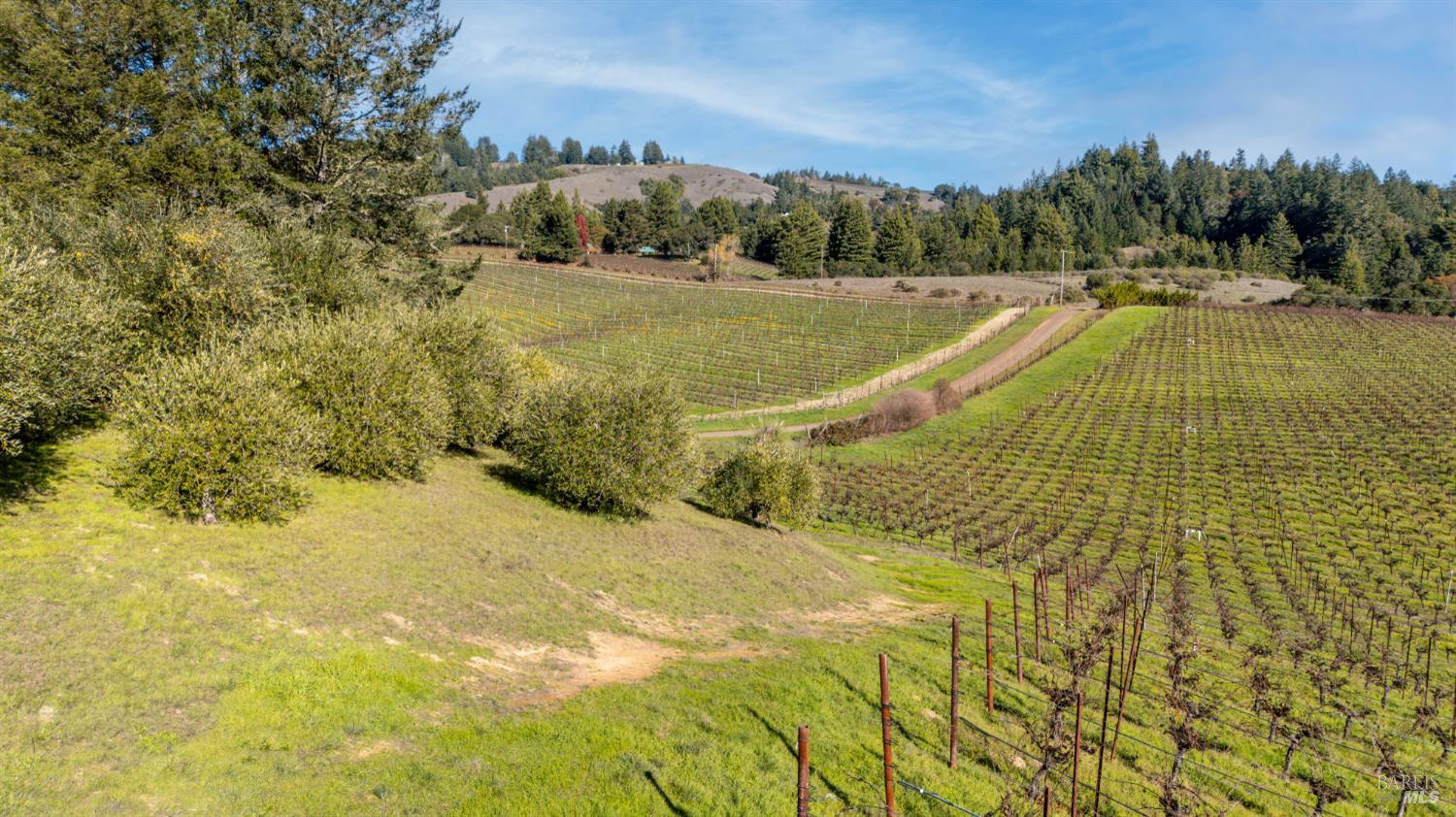 2300 Guntley Road Philo CA 95466