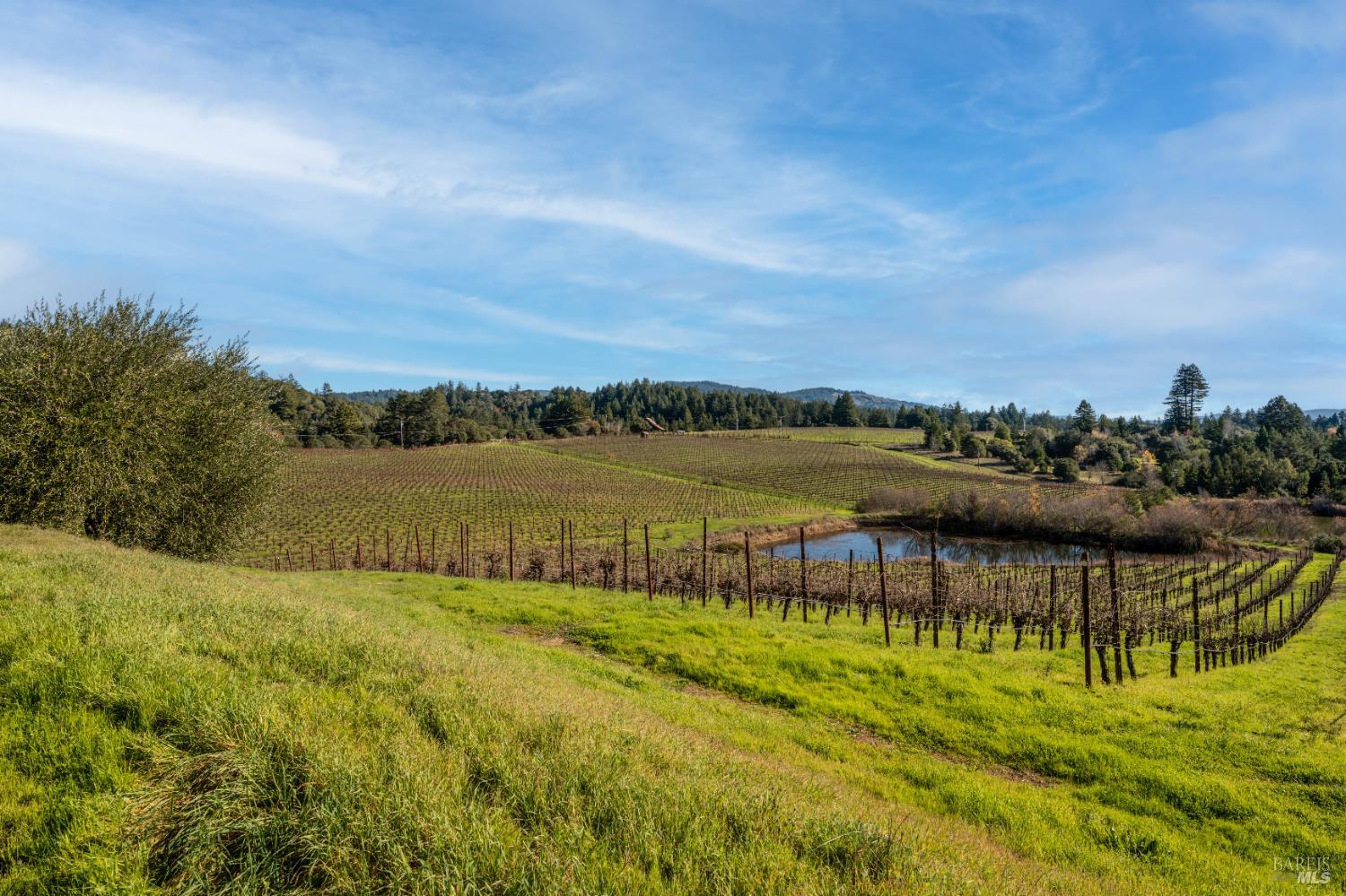 2300 Guntley Road Philo CA 95466