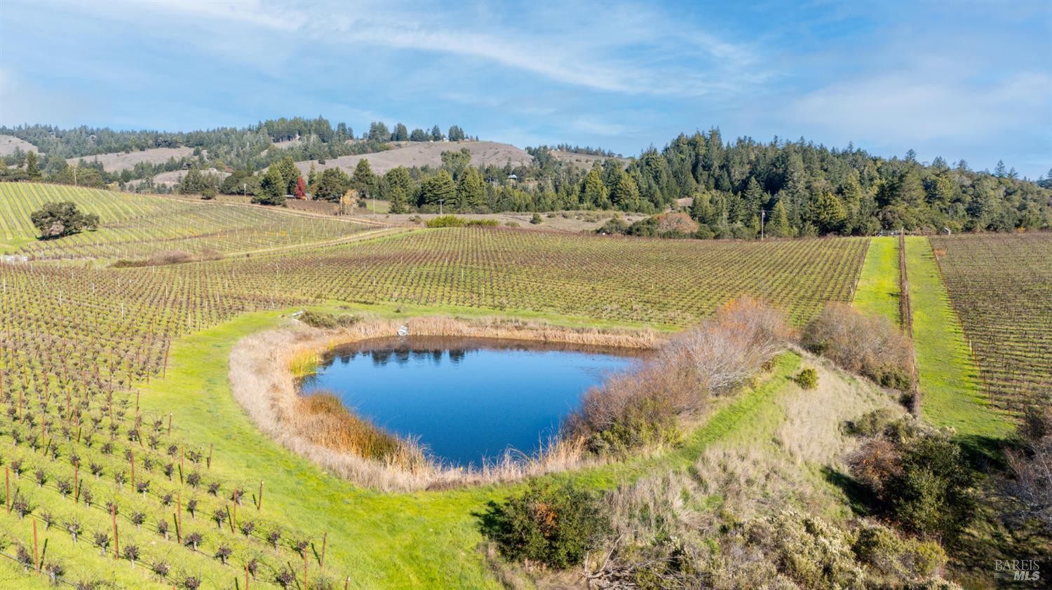 2300 Guntley Road Philo CA 95466