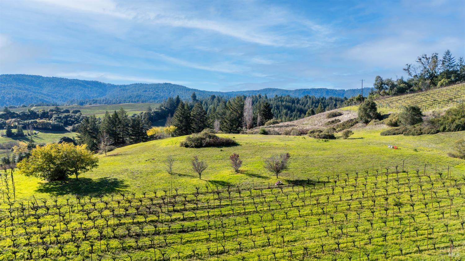 2300 Guntley Road Philo CA 95466