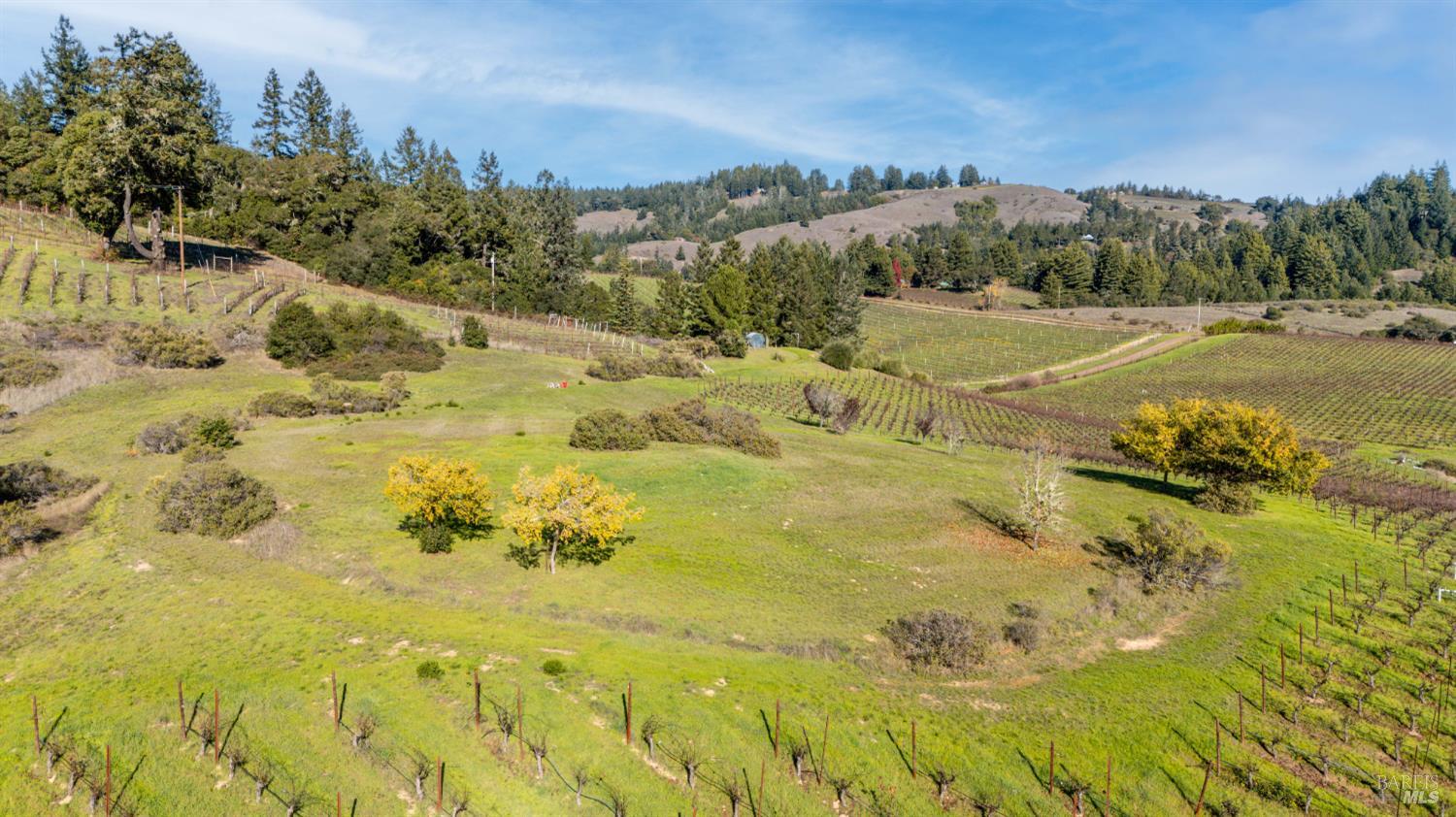 2300 Guntley Road Philo CA 95466