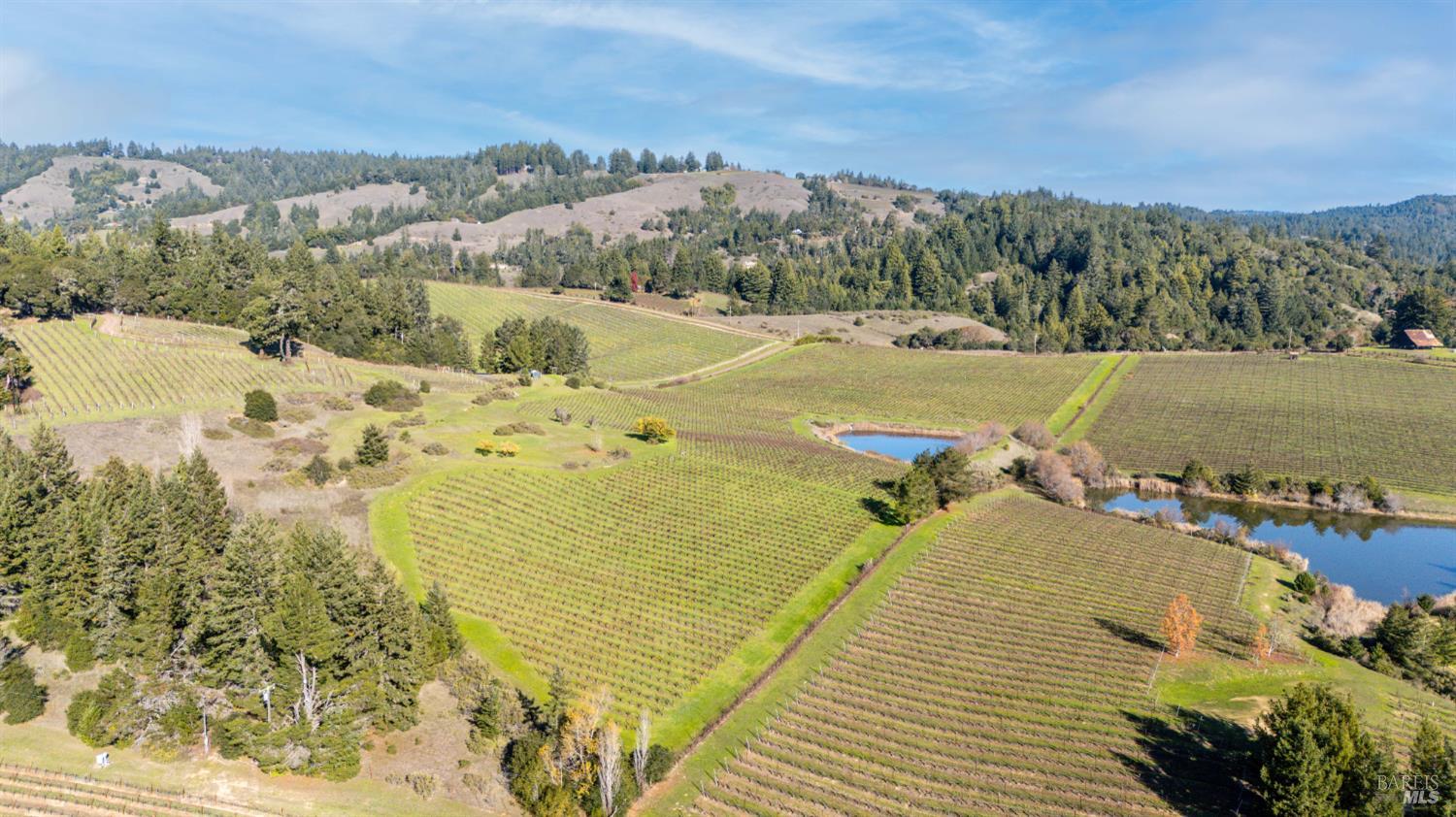 2300 Guntley Road Philo CA 95466
