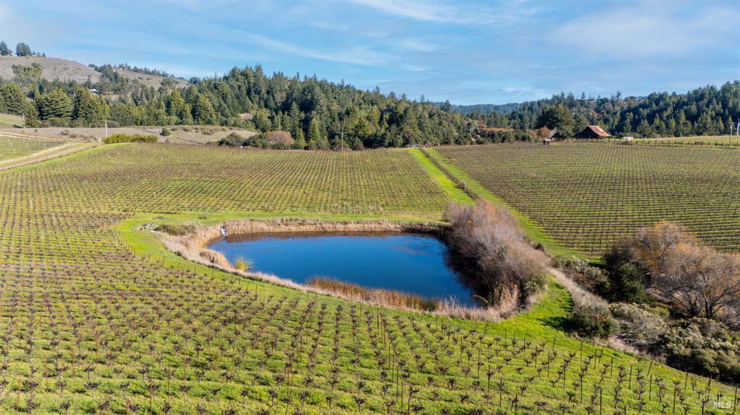 2300 Guntley Road Philo CA 95466