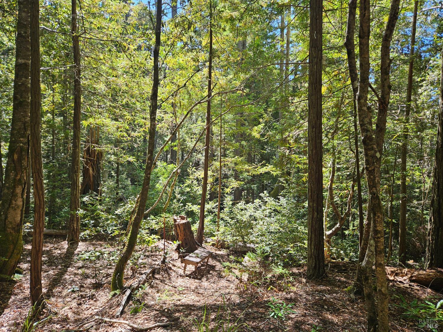 388 Moonraker Road The Sea Ranch CA 95497