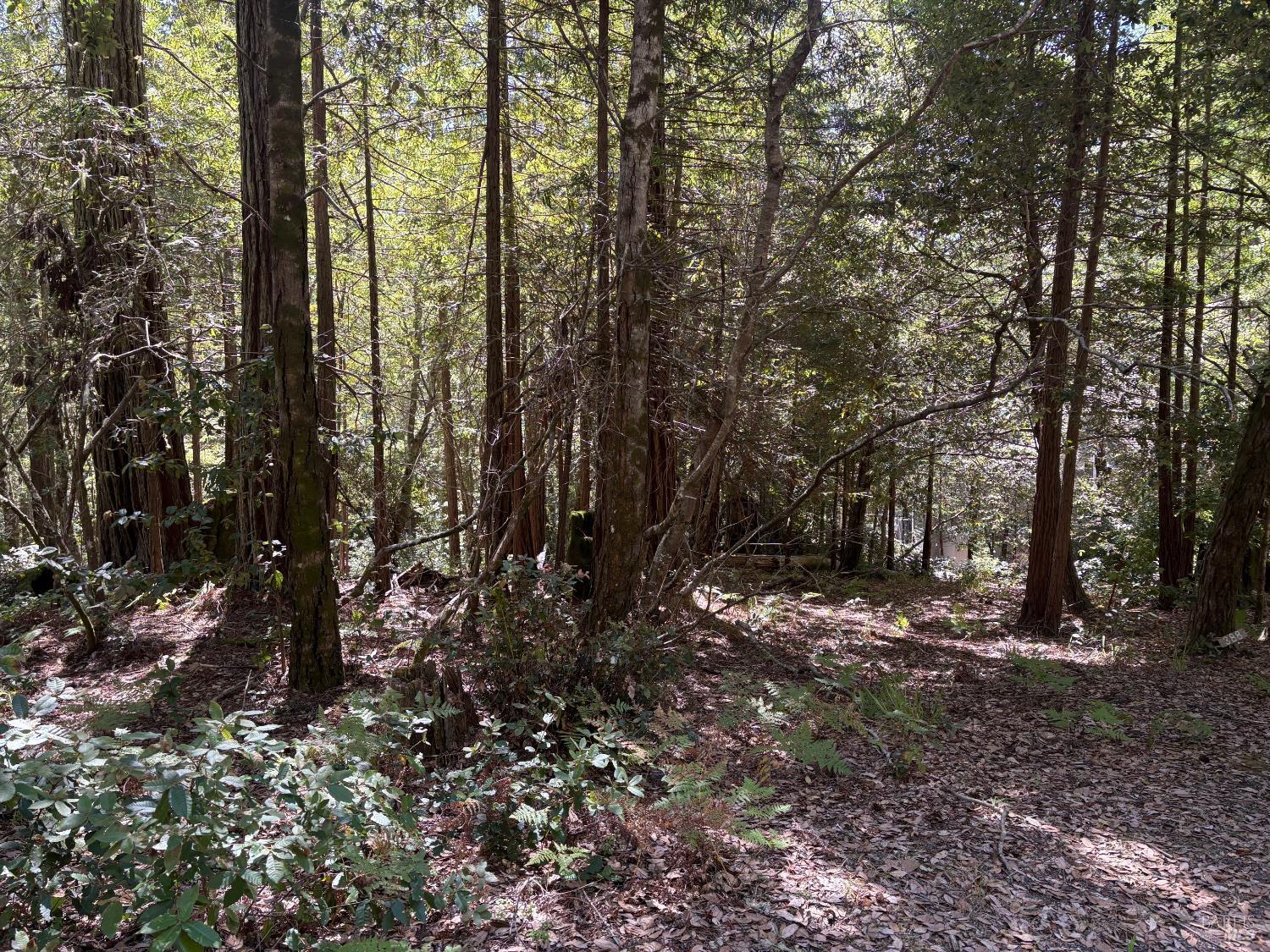 388 Moonraker Road The Sea Ranch CA 95497