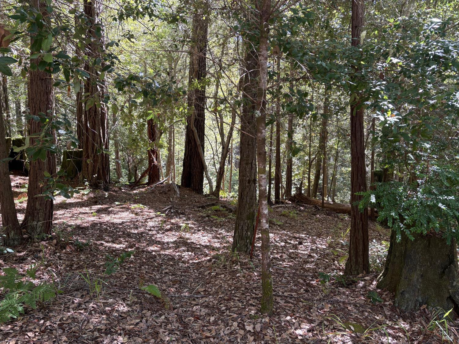 388 Moonraker Road The Sea Ranch CA 95497