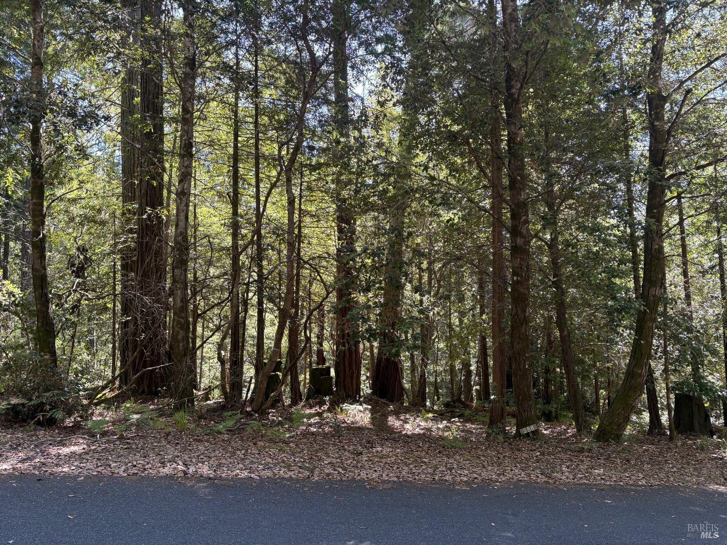 388 Moonraker Road The Sea Ranch CA 95497