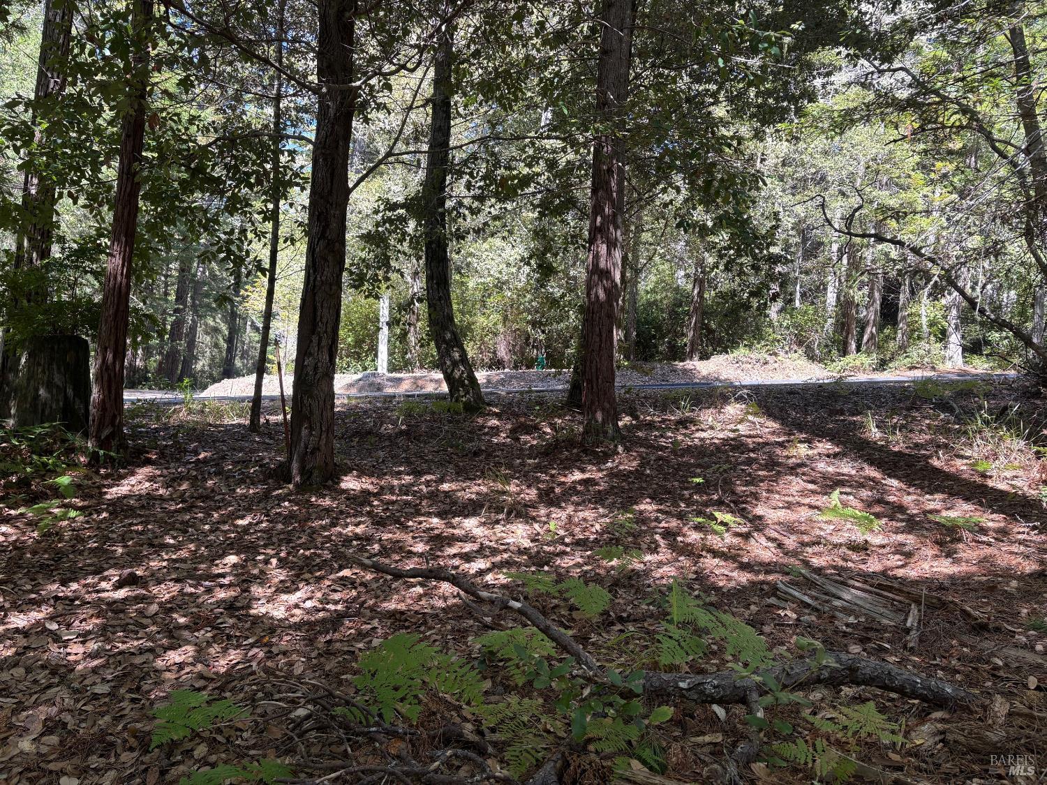 388 Moonraker Road The Sea Ranch CA 95497