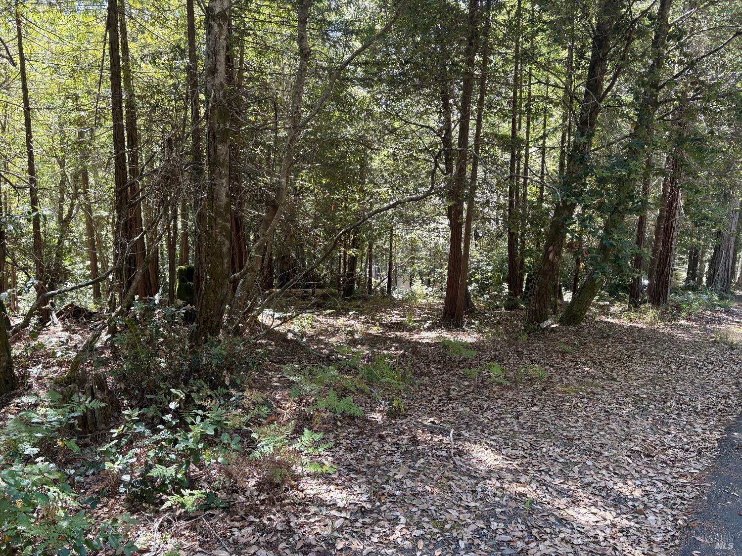 388 Moonraker Road The Sea Ranch CA 95497
