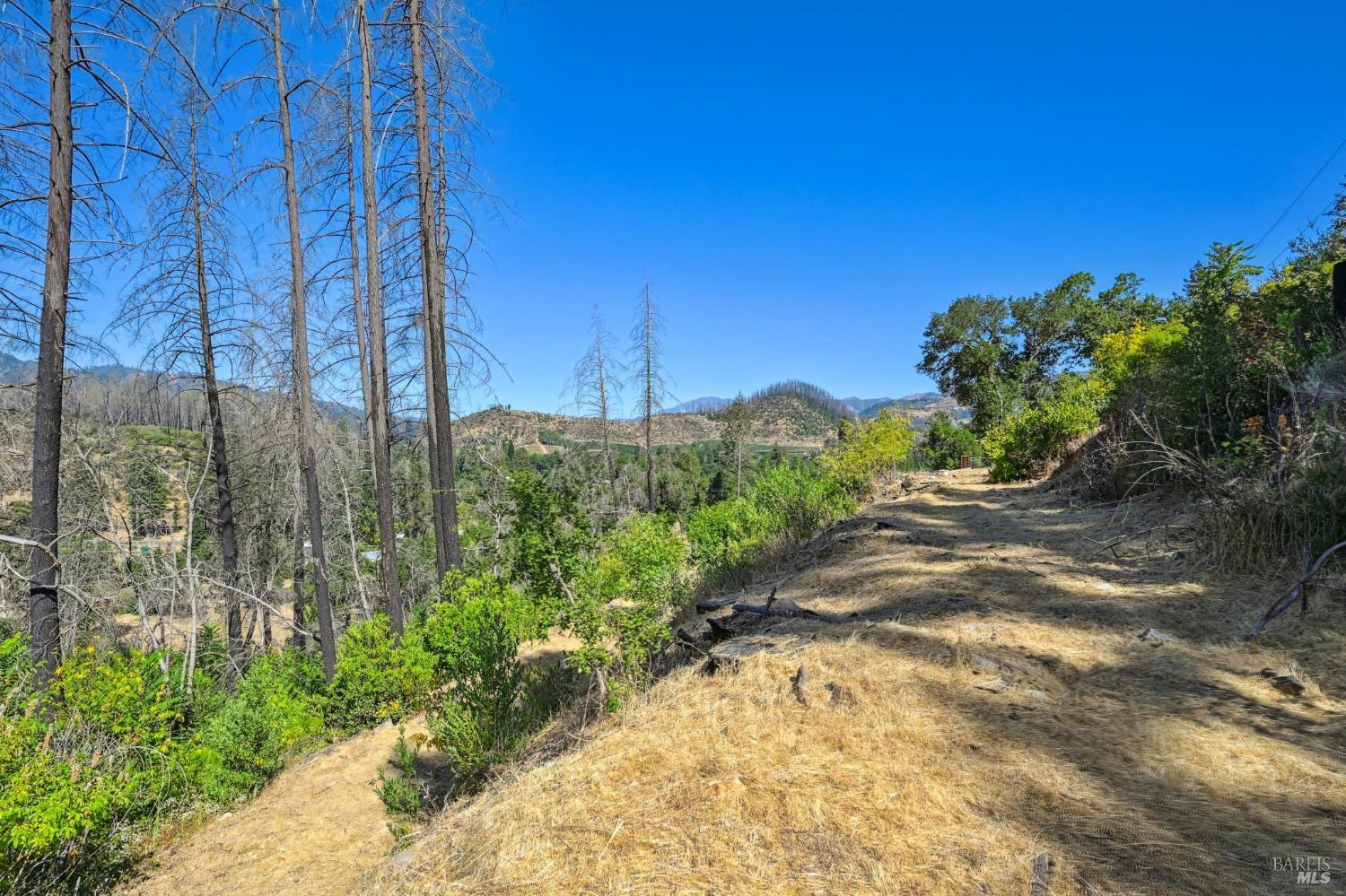 509 Canon Park Drive St. Helena CA 94574