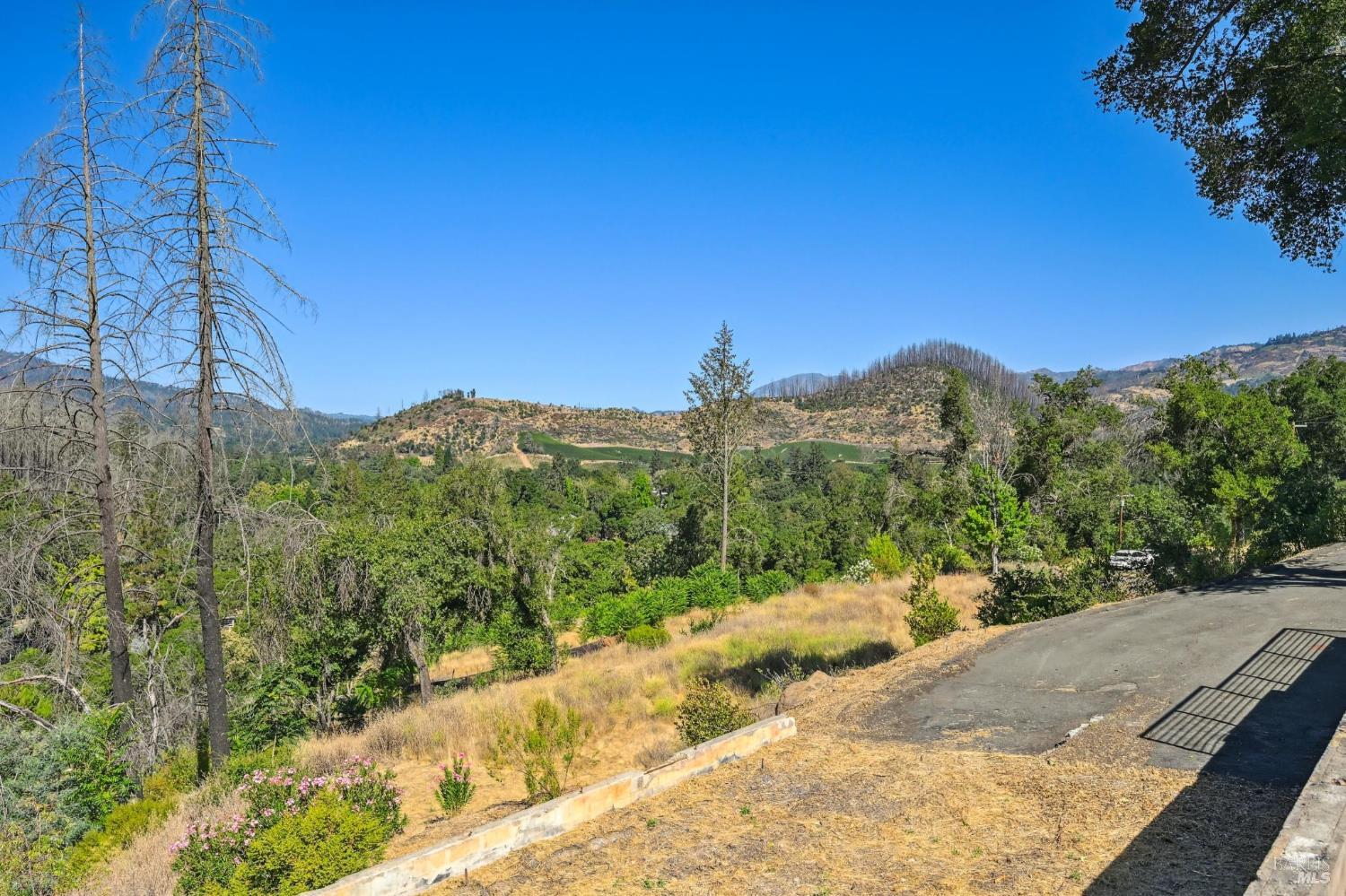 509 Canon Park Drive St. Helena CA 94574
