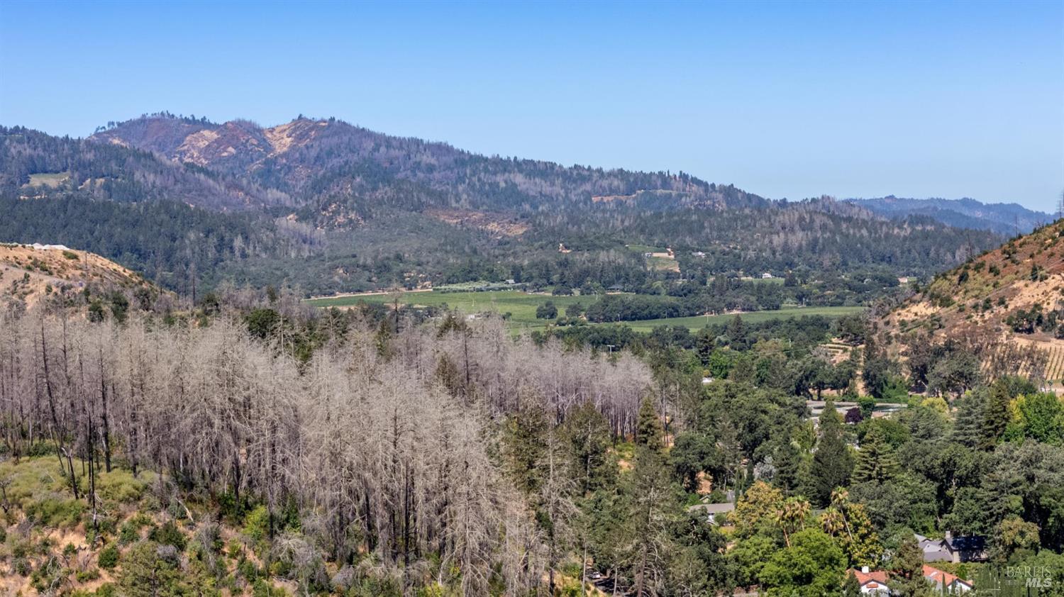 509 Canon Park Drive St. Helena CA 94574