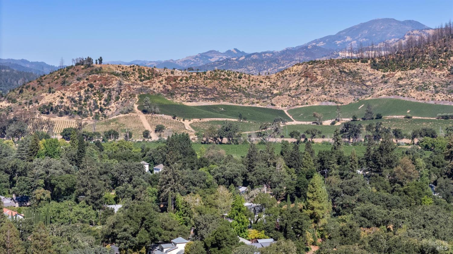 509 Canon Park Drive St. Helena CA 94574