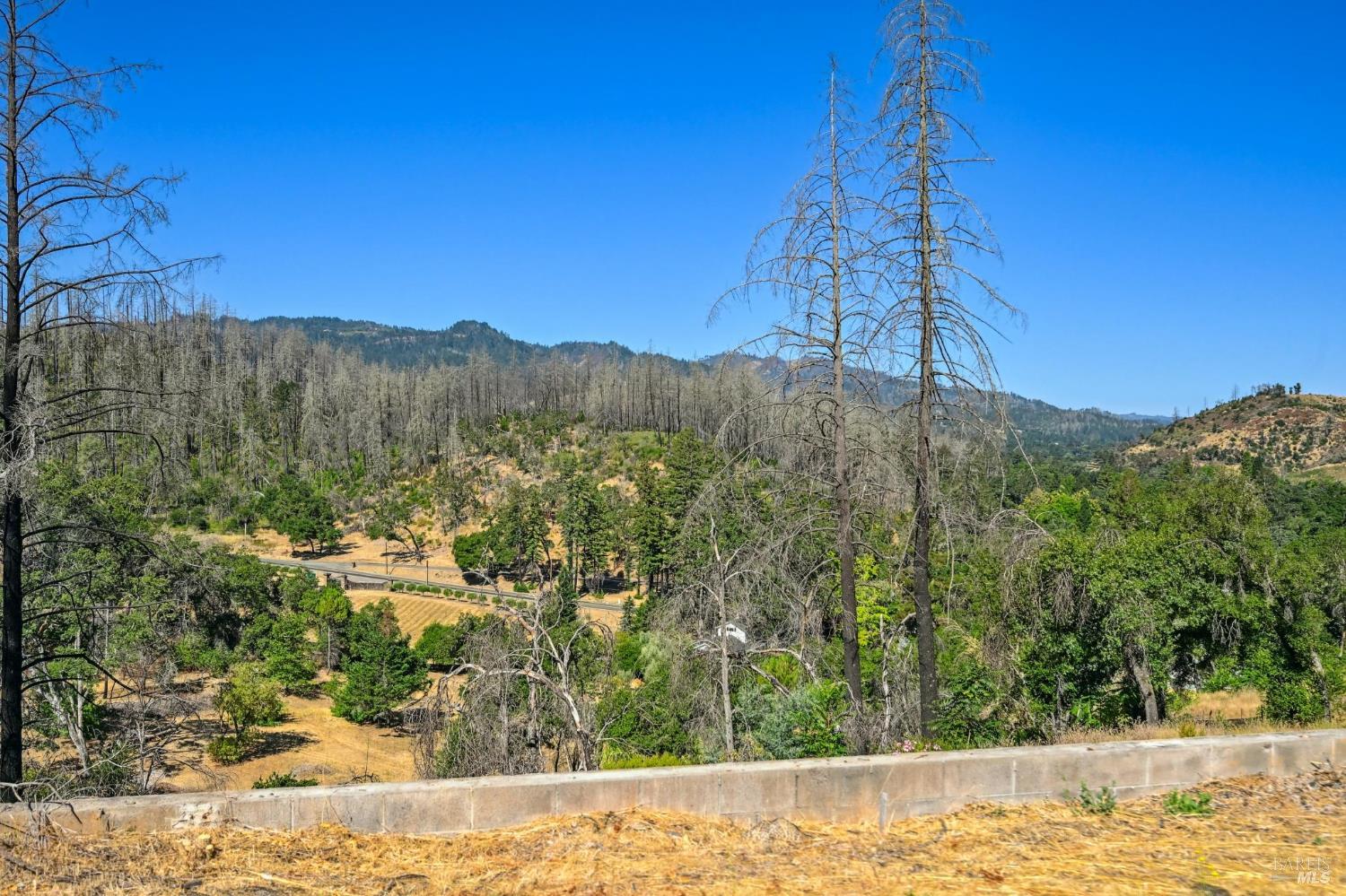 509 Canon Park Drive St. Helena CA 94574