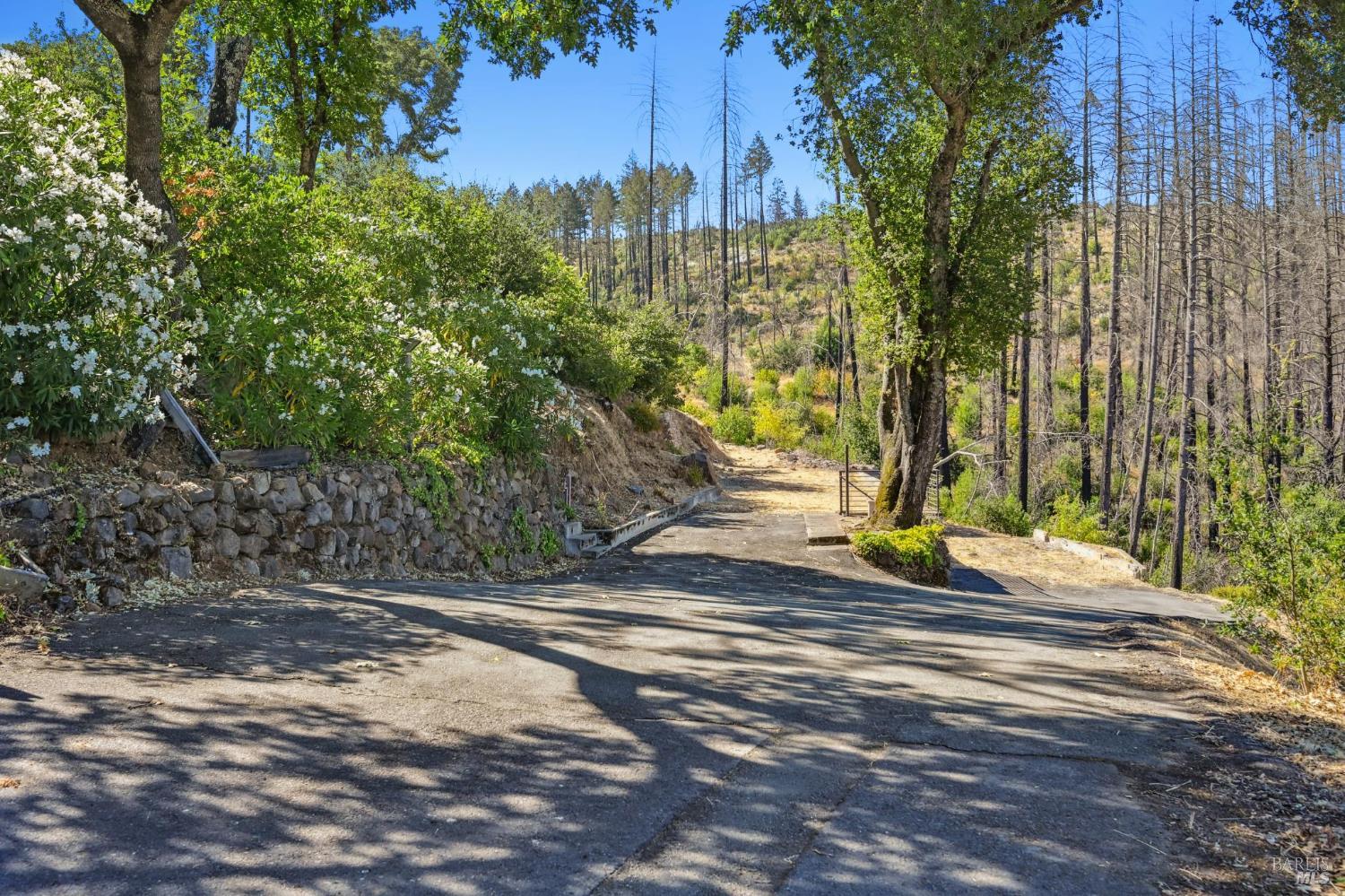509 Canon Park Drive St. Helena CA 94574