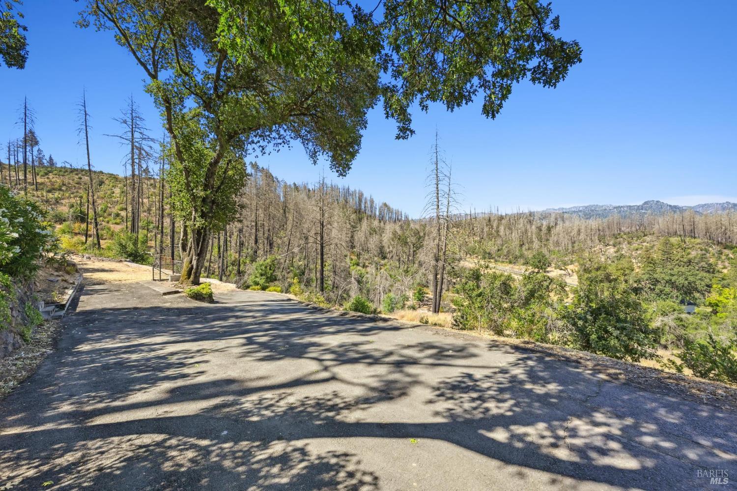 509 Canon Park Drive St. Helena CA 94574