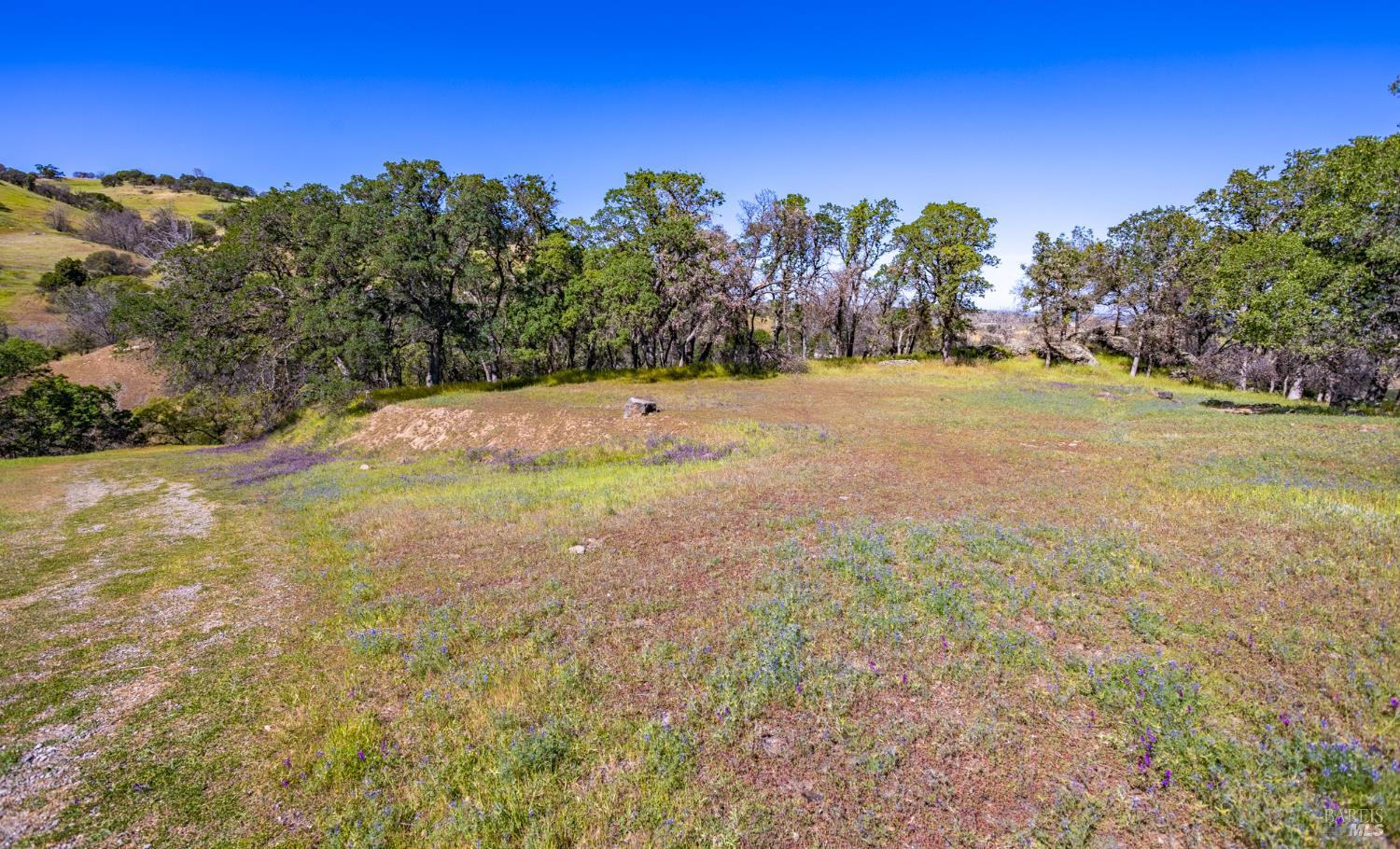 3872 Ciarlo Lane Vacaville CA 95688