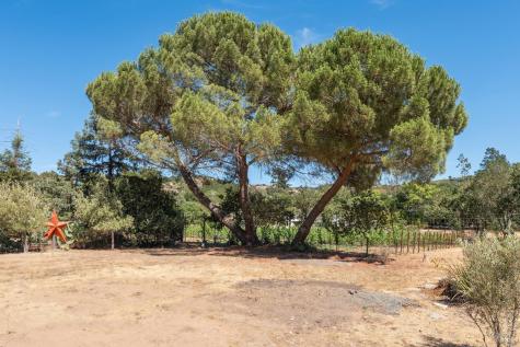 1795 Lovall Valley Road Sonoma CA 95476