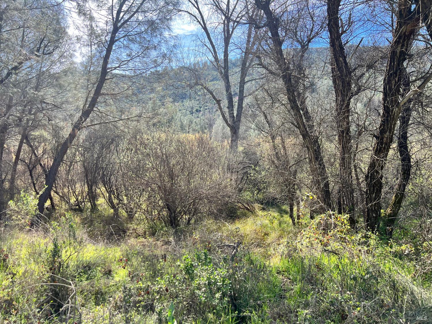 2286 New Long Valley Road Clearlake Oaks CA 95423