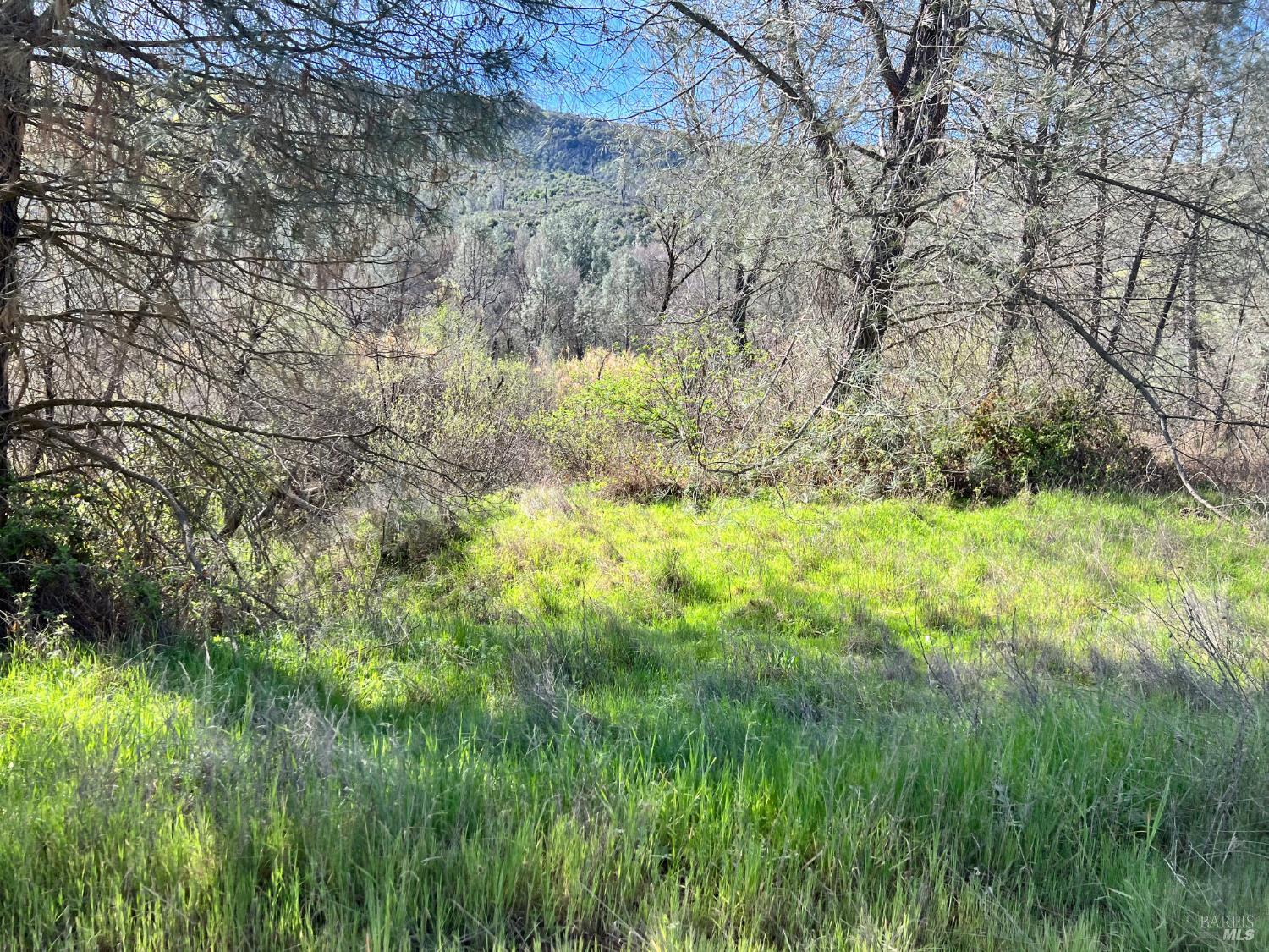 2286 New Long Valley Road Clearlake Oaks CA 95423