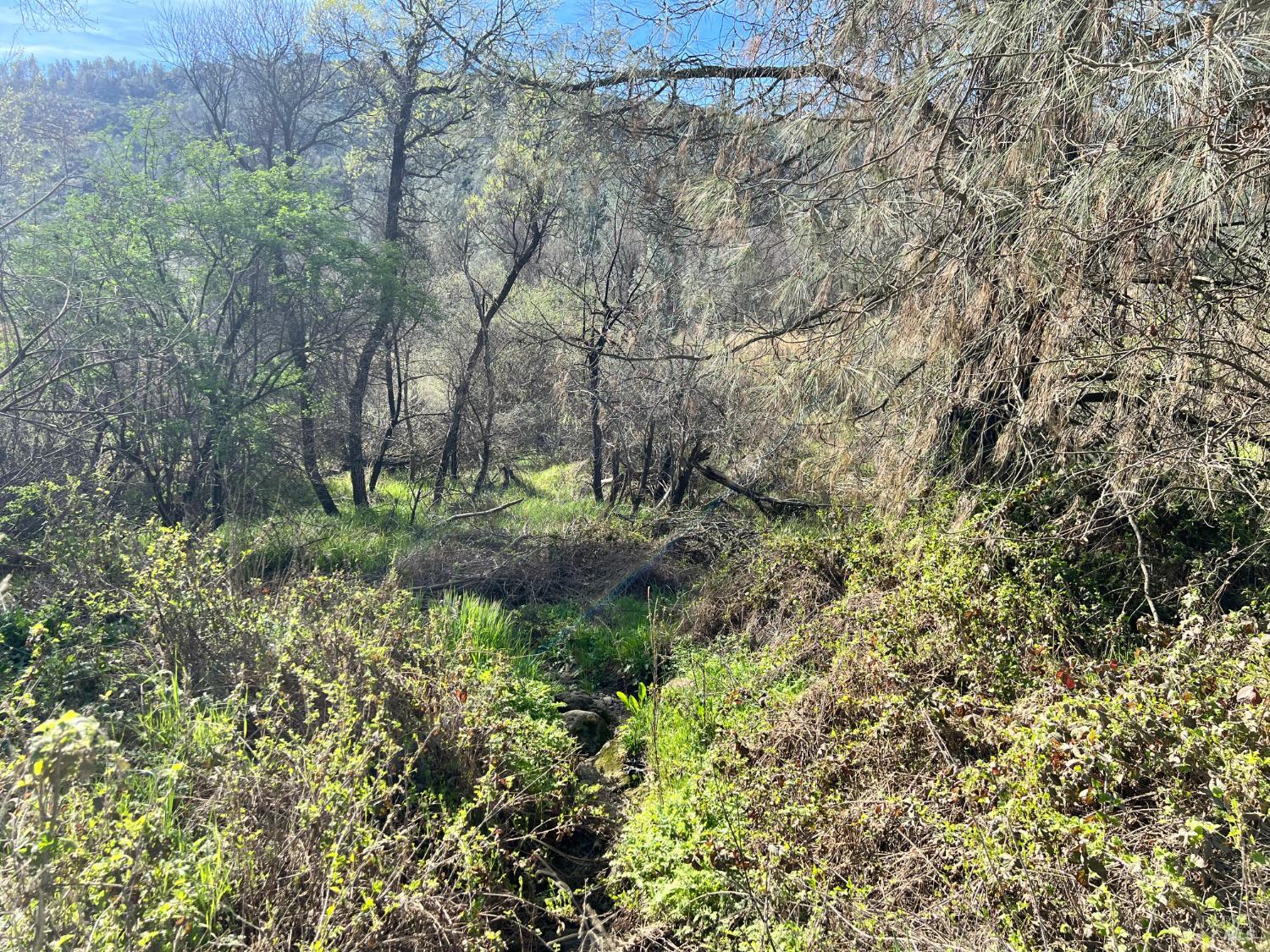 2286 New Long Valley Road Clearlake Oaks CA 95423