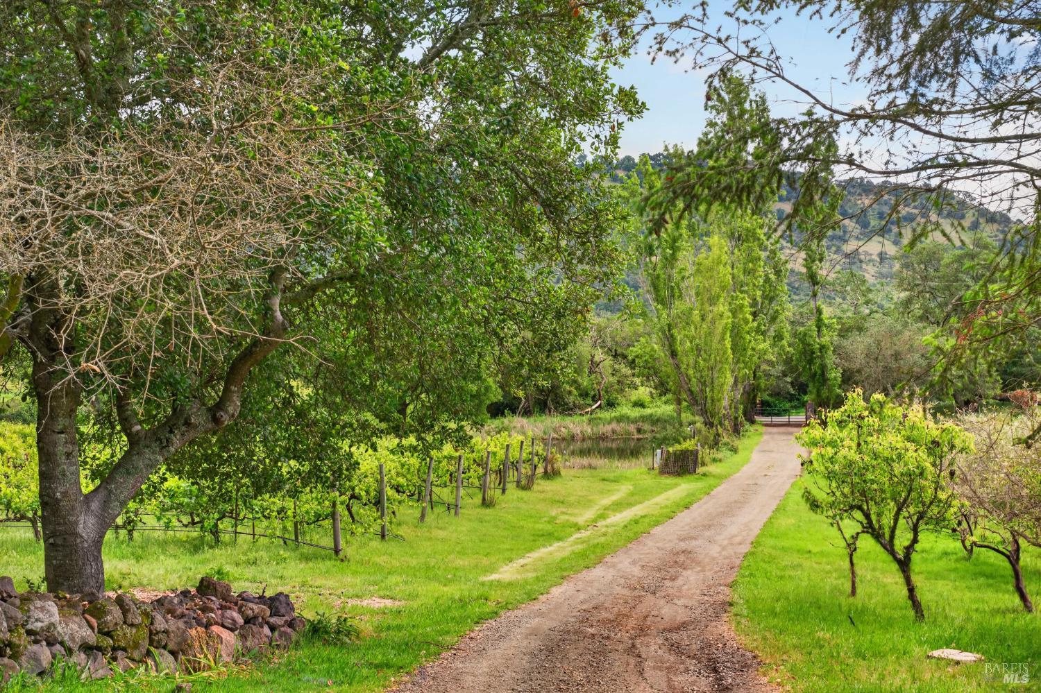 7440 Wild Horse Valley Road Napa CA 94558