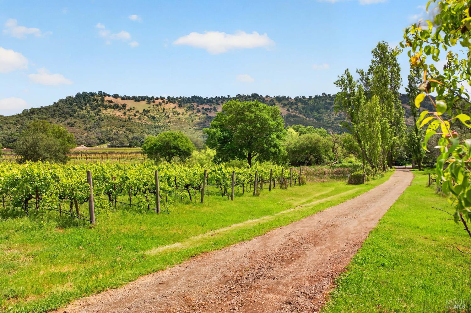 7440 Wild Horse Valley Road Napa CA 94558